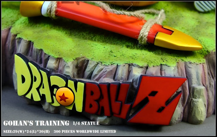 Une image de Son Gohan, un personnage de Dragon Ball Z, en train de s'entraîner. Il est debout sur un rocher, vêtu d'un gi orange et d'une ceinture bleue. Il tient un bâton dans sa main droite et un bouclier dans sa main gauche. Le rocher sur lequel il se trouve est entouré d'herbe verte. En arrière-plan, on peut voir le logo de Dragon Ball Z.,FI-805340927X