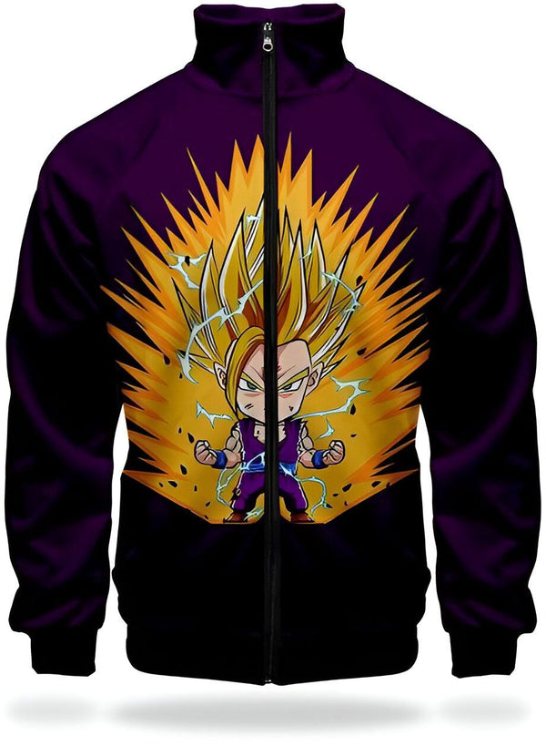 L'image représente un sweat-shirt Dragon Ball Z pour homme. Il est de couleur violette et possède une fermeture éclair. Sur le devant, on peut voir le personnage de Gohan en train de se battre. Il est entouré d'une aura jaune et bleue.,VE-0926631365,VE-5695224926,VE-5682024079,VE-0897493966,VE-0068560192,VE-6447599459,VE-511713088X